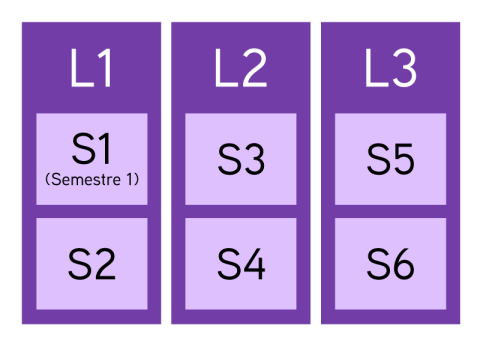 Représentation visuelle de l'organisation des 3 années de Licence en 6 semestres