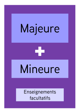 représentation graphique d'une année de licence composée d'une majeure, une mineure et d'enseignements facultatifs