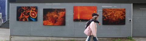 Photo de l'Expo plein air - Étoile rétine de Marguerite Bornhauser